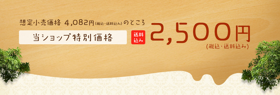 当ショップ特別価格2,500(税込)
