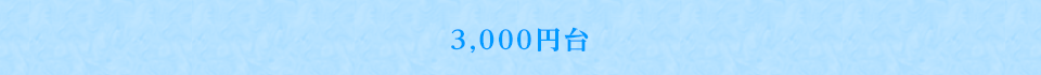 3000円台