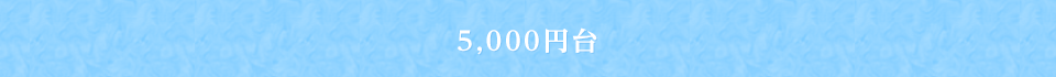 5000円台