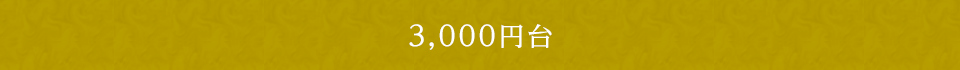 3000円台