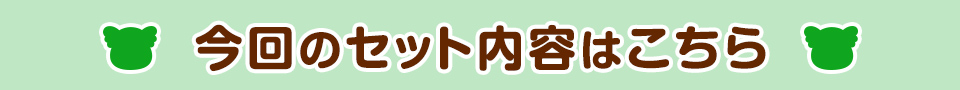今回のセット内容はこちら
