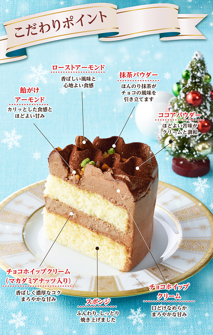 【送料込】クリスマスチョコレートケーキ(5号)