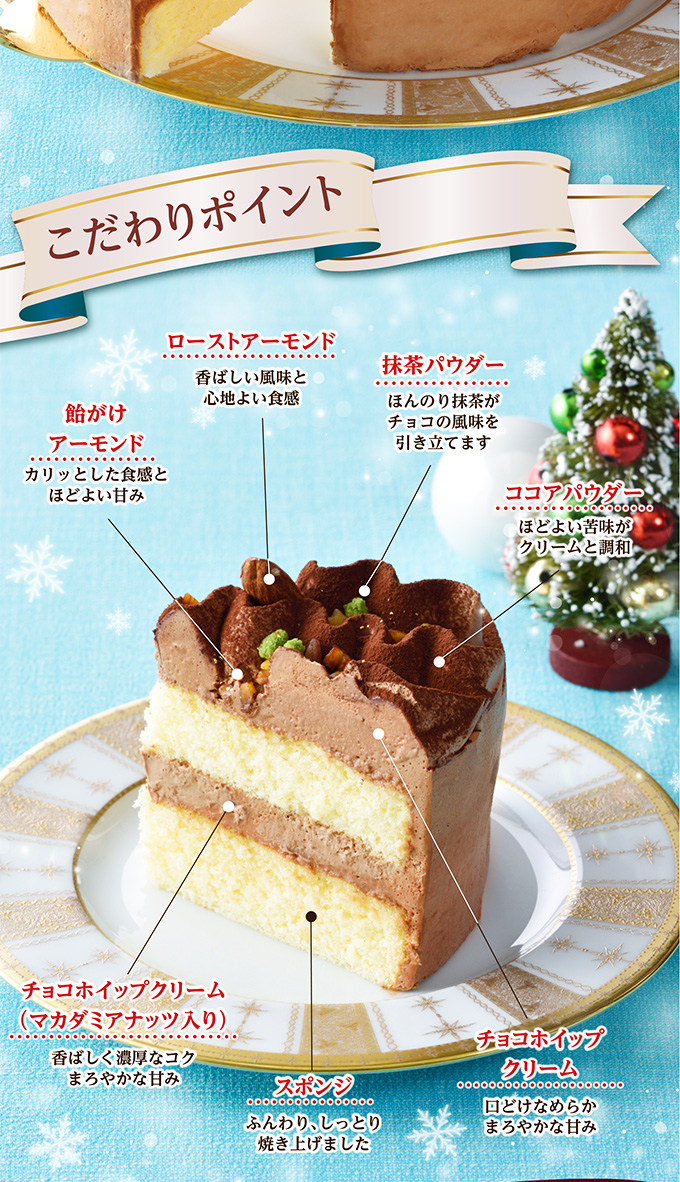 【送料込】クリスマスチョコレートケーキ(5号)