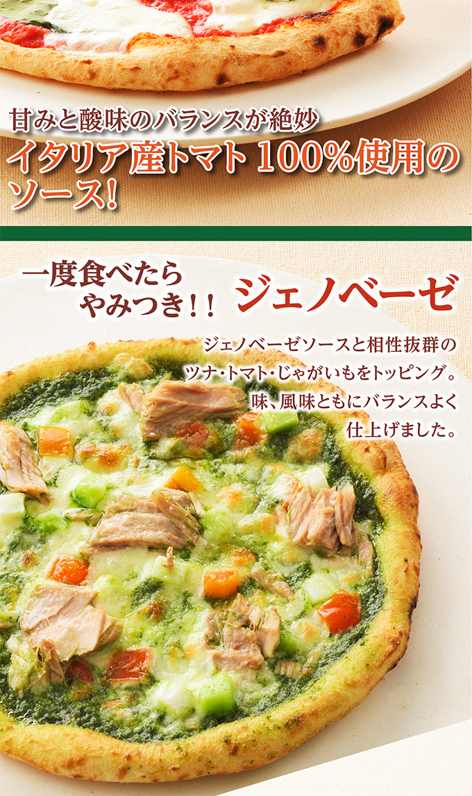 【送料込】クリスマスチョコレートケーキ(5号)