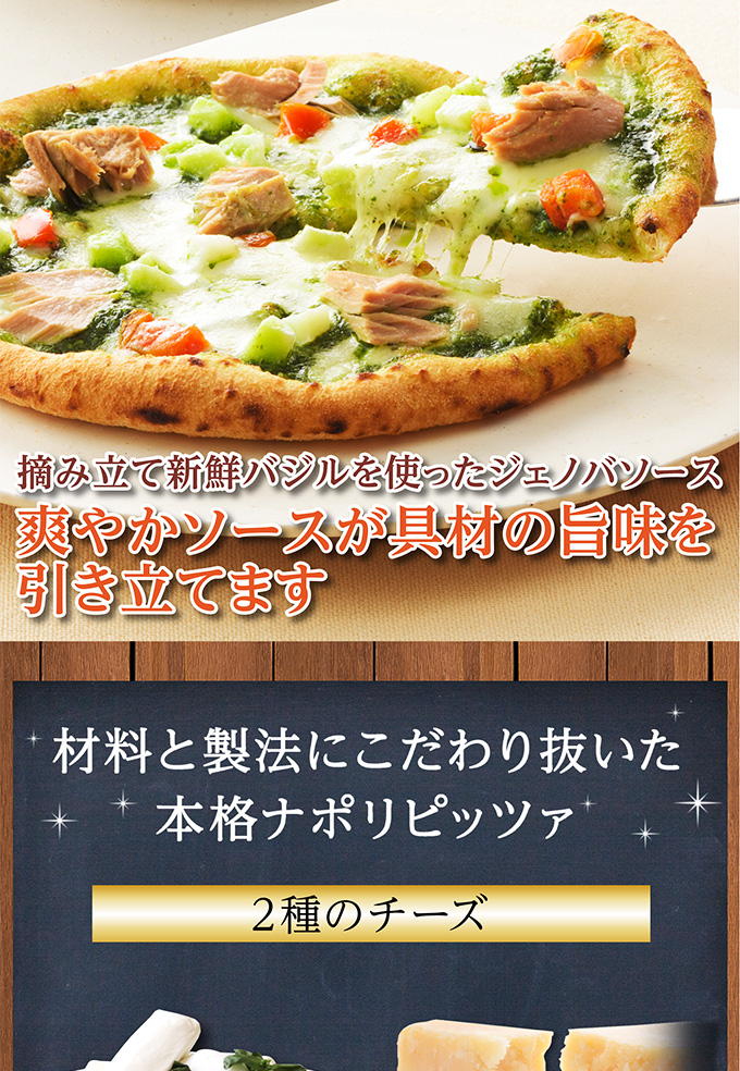 【送料込】クリスマスチョコレートケーキ(5号)