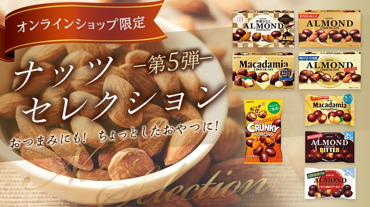 �i�b�c�Z���N�V������5�e