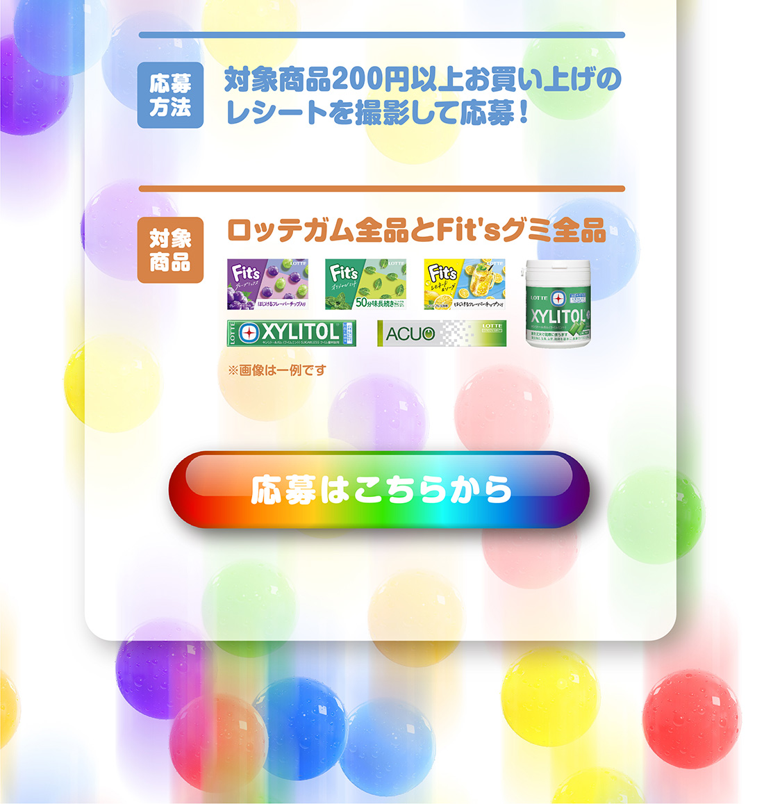 ͂oi[iN\j