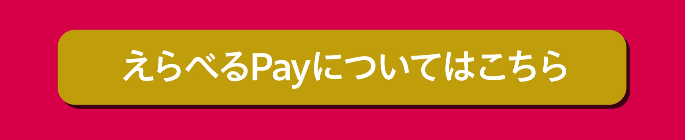 選べるPayバナー
