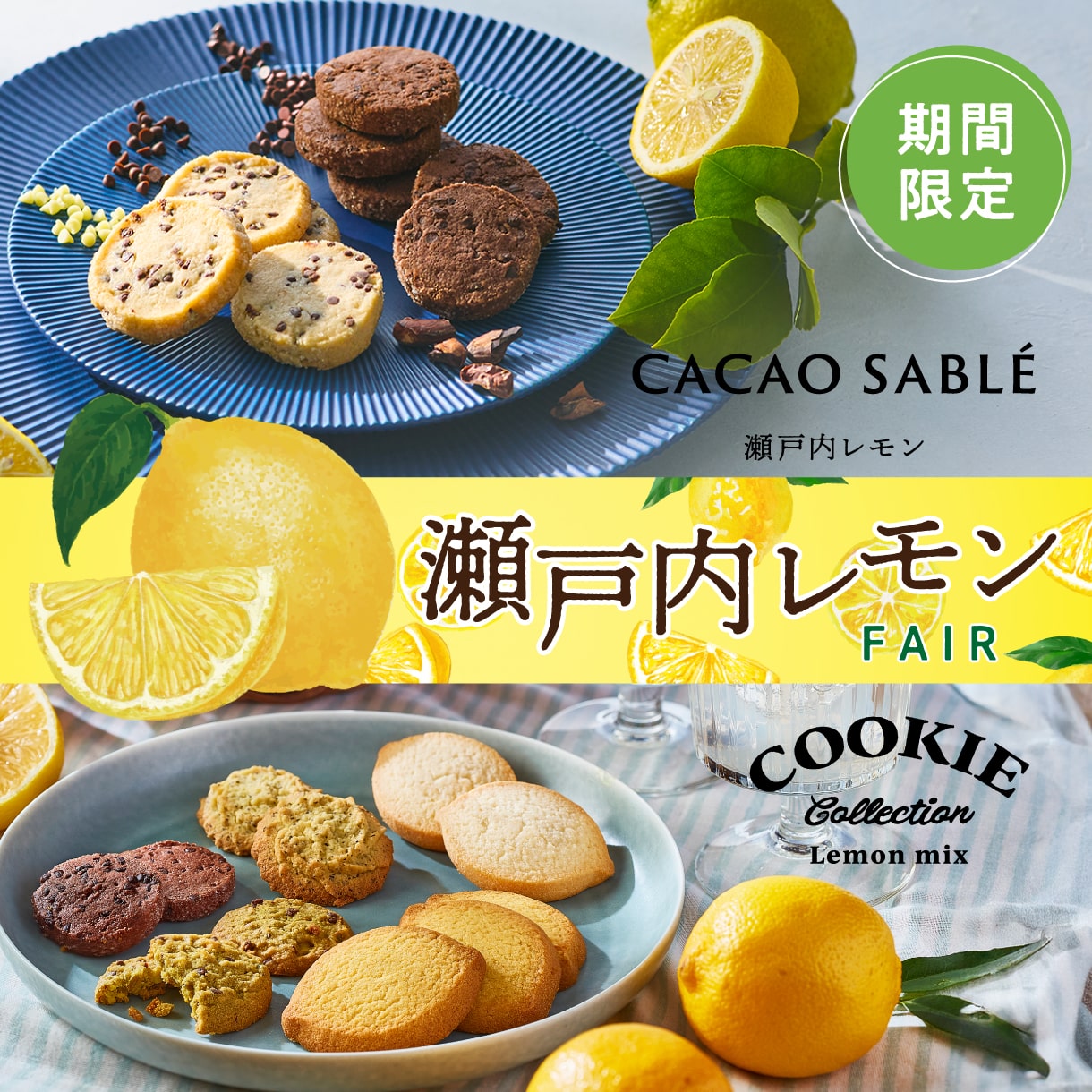 瀬戸内レモンフェア: |LOTTE GROUP公式オンラインモール