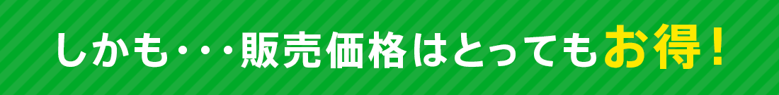 しかも・・・販売価格はとってもお得！