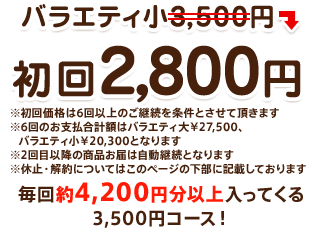 oGeB3,500~2,800~ 4,200~ȏĂ3,500~R[X! 6̂pƂĂ܂B2ڈȍ~͒ʏ퉿iƂȂ܂B