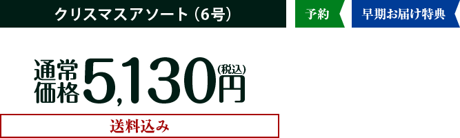 送料込み