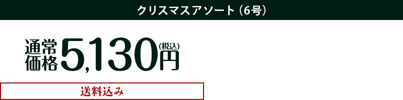 送料込み