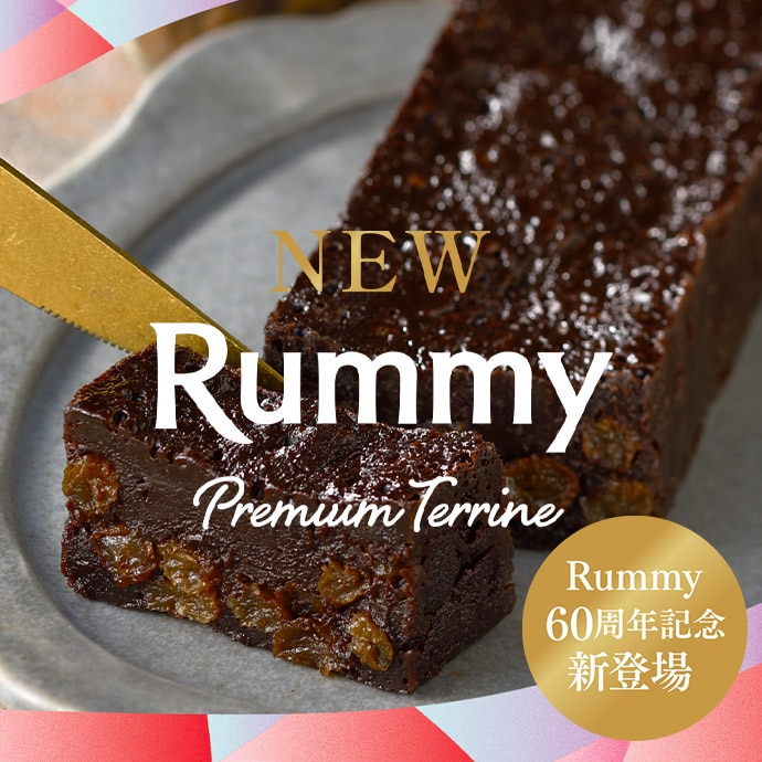 【超レア】LAREINE限定販売写真④ KAMIJOVersaillesラレーヌ CAT LOVER🐱🐱🐱🐱🩶 Faline Lolita Cat Toteは 硬めのキャンバス生地