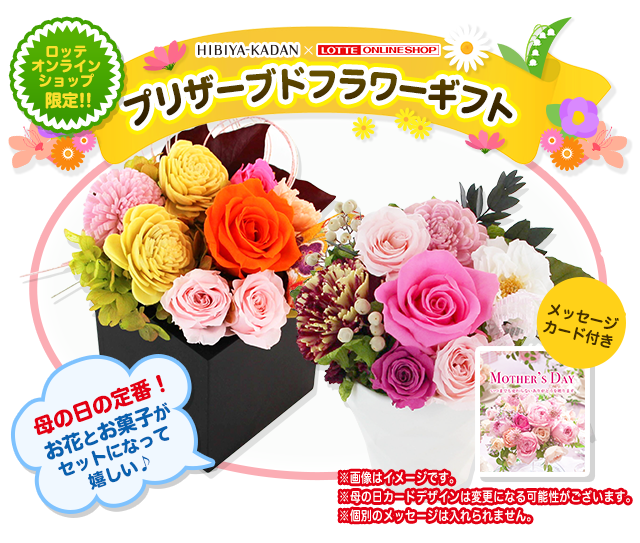 母の日 日比谷花壇 Lotte Group公式オンラインモール