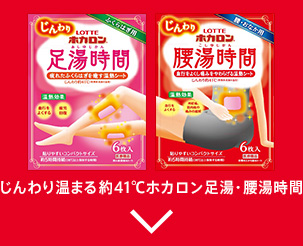 ホカロン Lotte Group公式オンラインモール