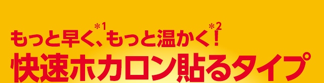 ホカロン Lotte Group公式オンラインモール