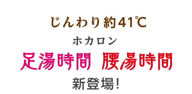 ホカロン Lotte Group公式オンラインモール