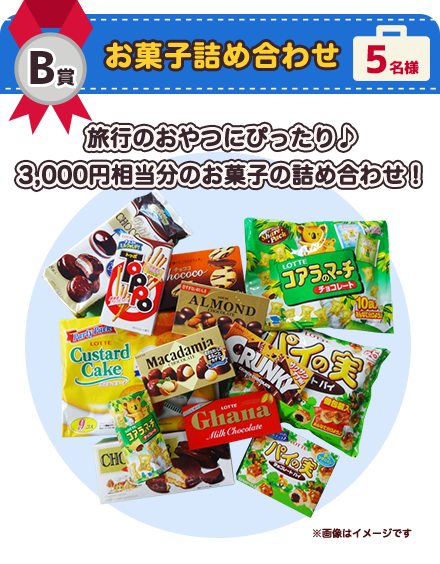 B賞 お菓子詰め合わせ 5名様 旅行のおやつにぴったり♪3,000円相当分のお菓子の詰め合わせ！