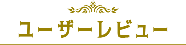 ユーザーレビュー