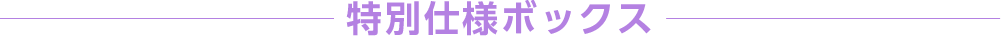 特別仕様ボックス