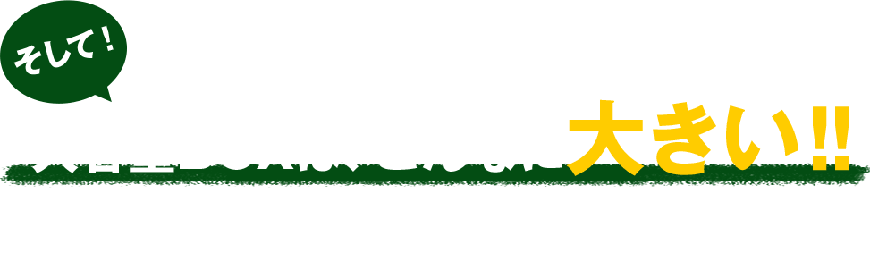 そして!大容量BOXは、こんなに大きい!!ぎっしり入ってます!