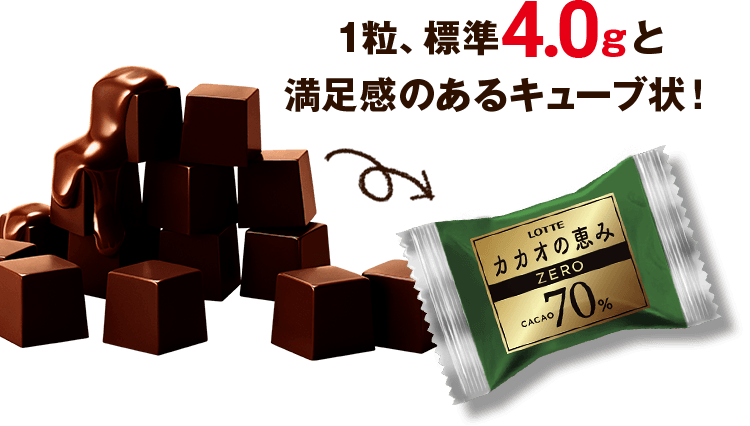 カカオの恵み大容量BOX: |LOTTE GROUP公式オンラインモール