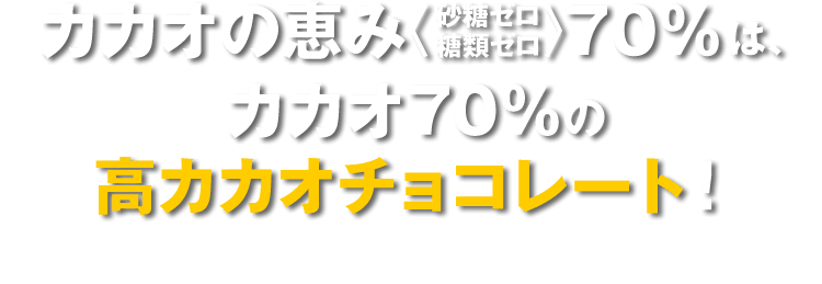カカオの恵み大容量BOX: |LOTTE GROUP公式オンラインモール