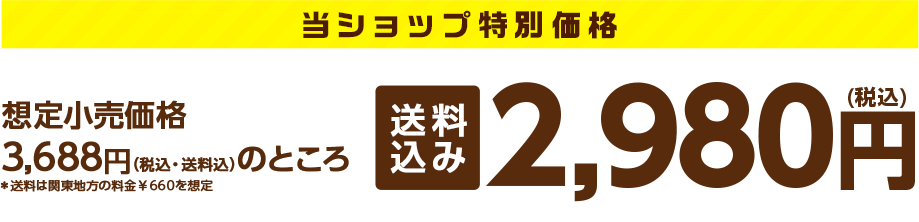 当ショップ特別価格 送料込み 2,980円(税込)