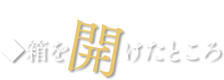 箱を開けたところ
