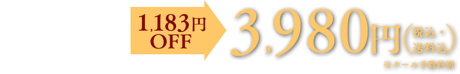 税込・送料込 ※クール手数料別