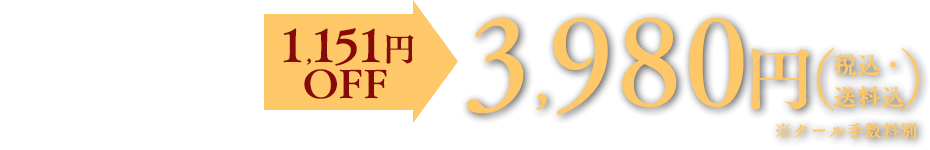 税込・送料込 ※クール手数料別
