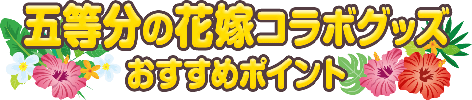 おすすめポイント