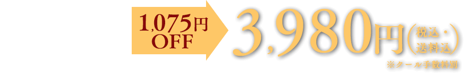 税込・送料込 ※クール手数料別