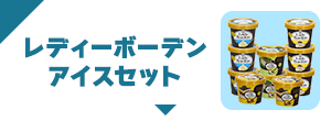 レディーボーデンアイスセット