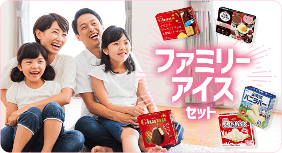 ファミリーアイスセット