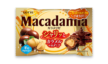 ナッツチョコセレクションギフトBOX第19弾: |LOTTE GROUP公式