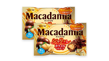 ナッツチョコセレクションギフトBOX第19弾: |LOTTE GROUP公式 ナッツチョコセレクションギフトBOX第19弾: |LOTTE GROUP公式