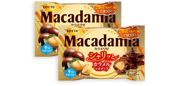 ナッツチョコセレクションギフトBOX第22弾: |LOTTE GROUP公式