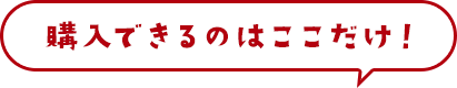 購入できるのはここだけ！