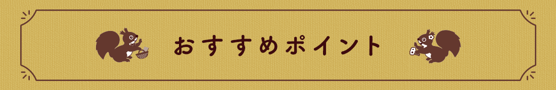 おすすめポイント