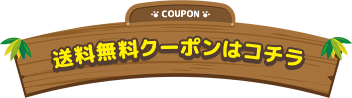 送料無料クーポンはこちら