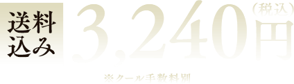 送料込み