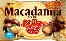 マカダミアチョコレートポップジョイ＜カラメリゼ＞