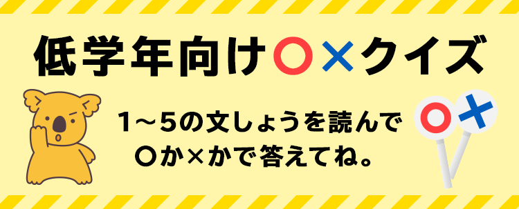 クイズ 親子の防災を応援する そなえーる Lotte Group公式オンラインモール