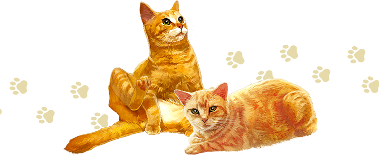ねこみゃみれBOX: |LOTTE GROUP公式オンラインモール