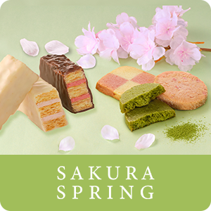 さくらスプリング