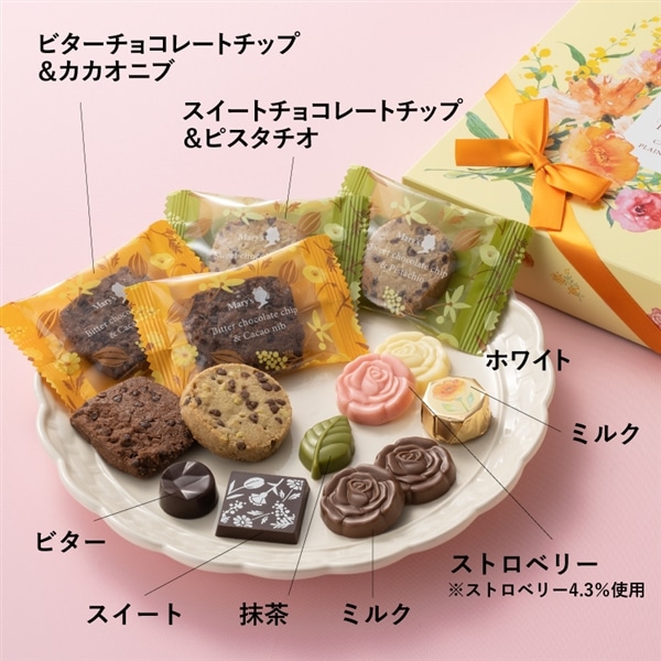 プレシュー カカオサブレ&プレーンチョコレート PCP-10【メリーチョコレート】 カカオサブレ&プレーンチョコレート PCP-10