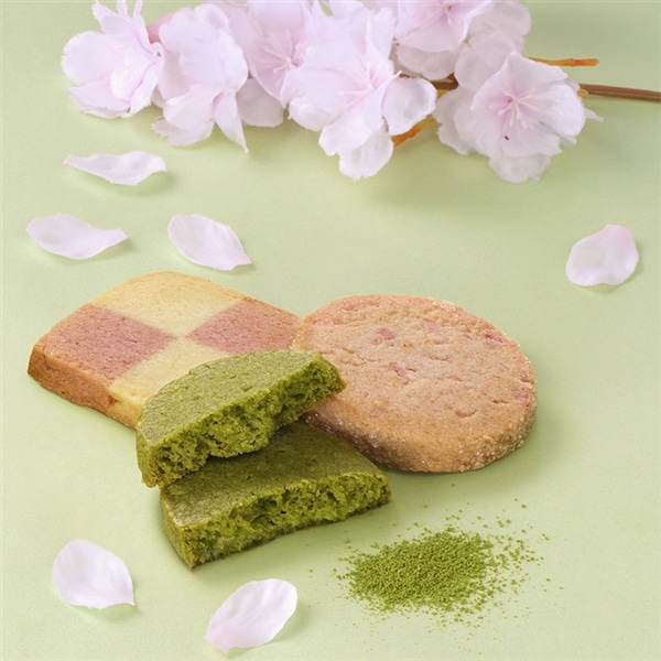 さくらスプリング スプリングコレクション 14枚入【メリーチョコレート】 さくらスプリング スプリングコレクション 14枚入