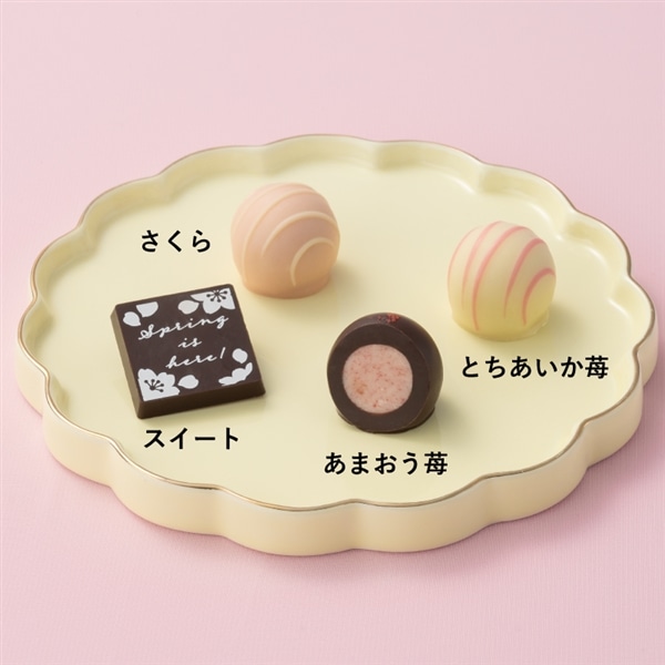 さくらスプリング スプリングトリュフアソート 8個入【メリーチョコレート】 さくらスプリング スプリングトリュフアソート 8個入